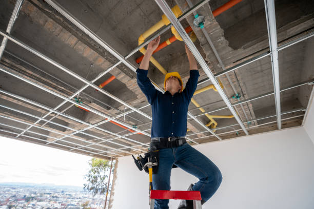 Best Leak Detection Services  in Mount Pleasant, WI